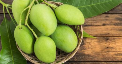 You will be Surprised to Know the Benefits of Raw Mangoes