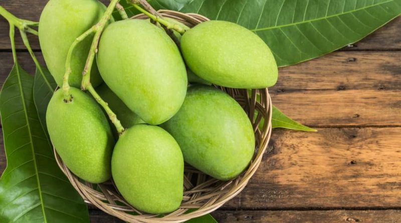 You will be Surprised to Know the Benefits of Raw Mangoes