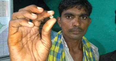 Workers found 50 lakh diamond in Panna of Madhya Pradesh