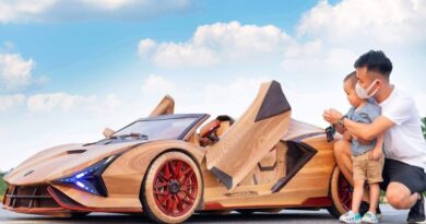 27 crore Lamborghini car made from wood, also shared videos from making to running