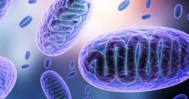 Delta variant is 50% more infectious than Alpha, study reveals