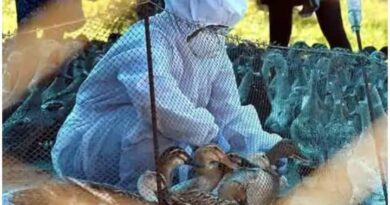 First case of human being infected with H10N3 bird flu exposed in China, know about the strain