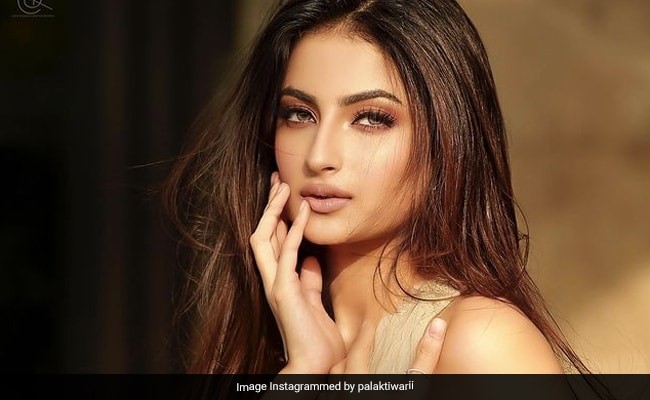 Palak Tiwari shared pictures in a glamorous style, the style of the actress went viral - see photos