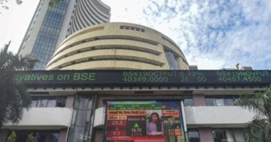 Domestic stock market at top level